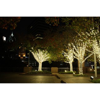 Đèn Led Cuốn Cây 20m (Có Sỉ)