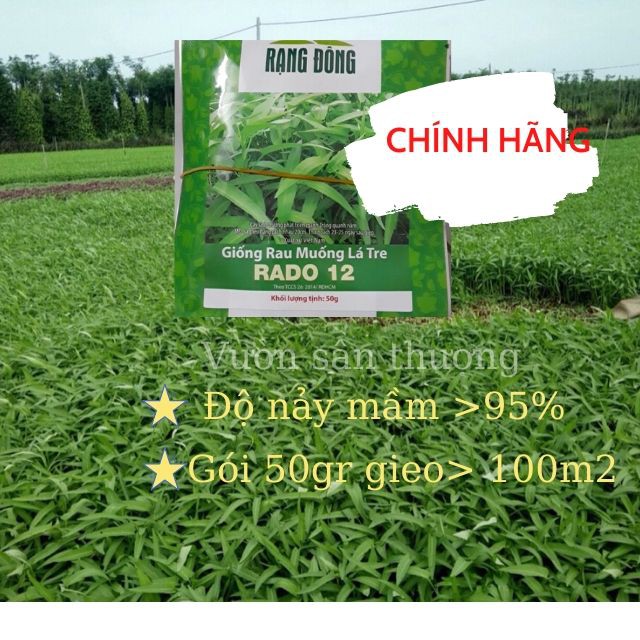 [Rạng Đông] Hạt Giống Rau Muống Lá Tre RADO 12 Dễ Trồng, Năng Suất Cao 50gr, tỷ lệ nảy mầm &gt;95%