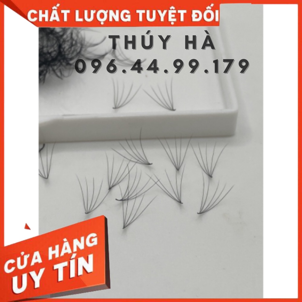 Mi fan 5D HỘP 1000FAN_dụng cụ nối m_mi khay _mi fan giá rẻ_kho mi giá sỉ_THÚY HÀ