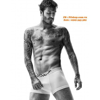 Boxer beckham xịn