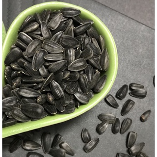 1kg - Hướng dương sống cho vẹt Macaw, vẹt mào Cockatoo, Moluccan cockatoo, Cacatua galerita, Xám, Sun