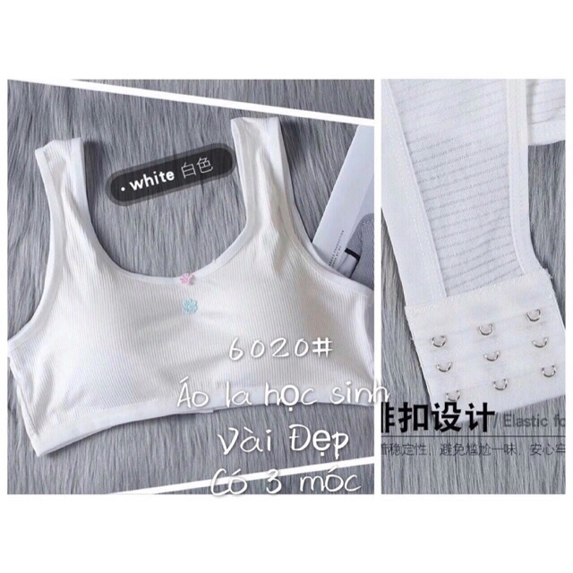 Áo Bra Học Sinh Cotton Tăm Có Móc Cài Sau MS6020