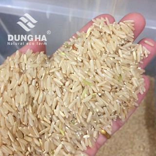 Gạo Lứt Giảm Cân [Gạo dẻo thơm] 1,5kg
