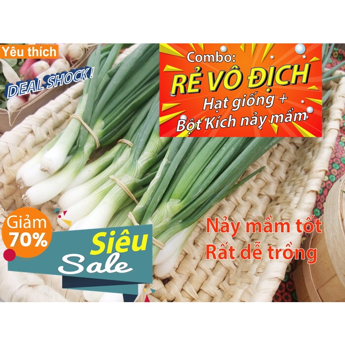 - 2 gam Hạt giống hành ta