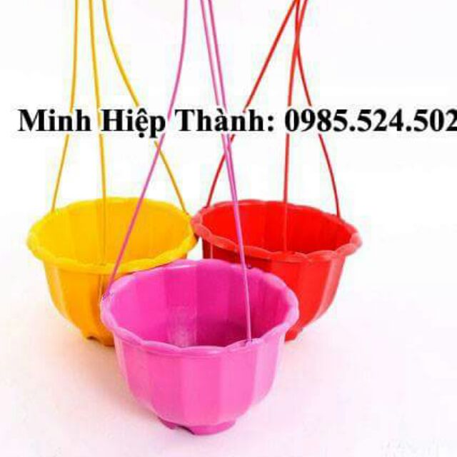 Combo 25 chậu  treo bí