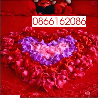 Combo 100 cánh hoa hồng vải lụa