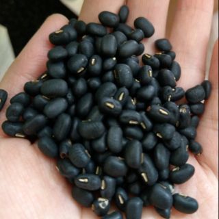 Đậu đen xanh lòng Điện Biên