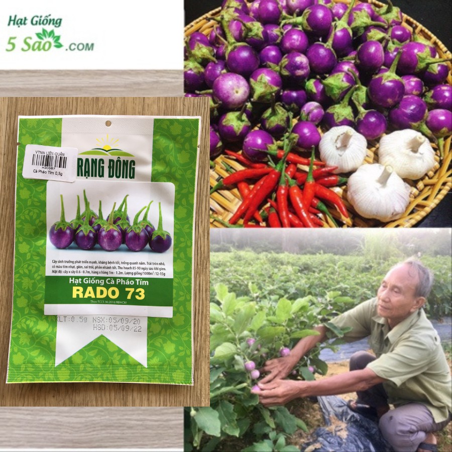 CÀ PHÁO TÍM RADO 73 (0.5g)