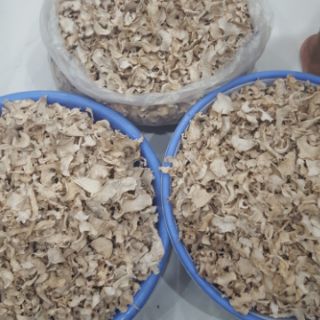 Củ Ráy Tía chuyên trị bệnh Gout, Đau xương khớp, phòng ung thư