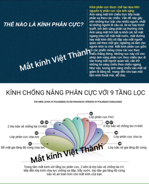 Kính viền vàng FULLBOX cao cấp