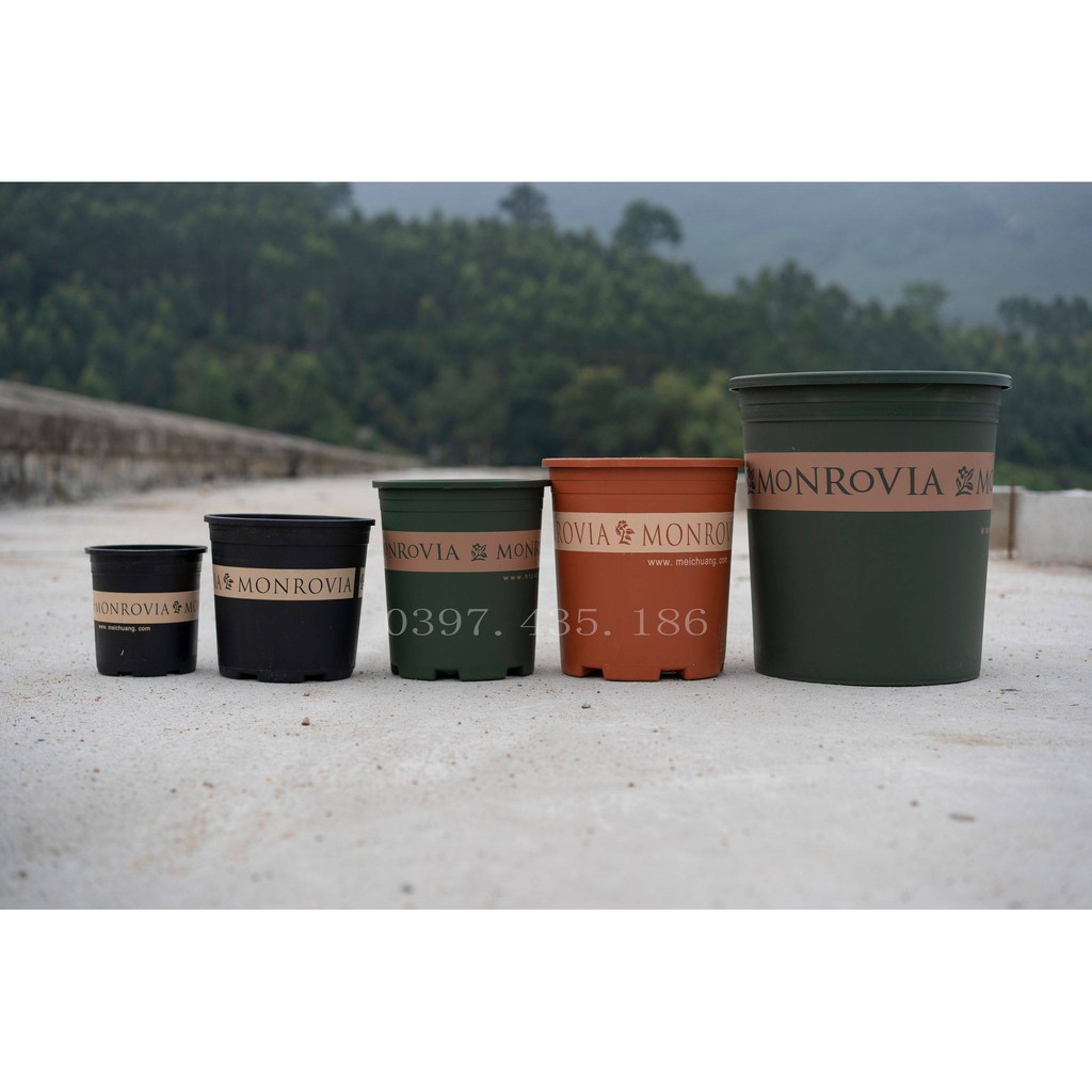 CHẬU NHỰA TRỒNG CÂY MONROVIA ĐỦ SIZE