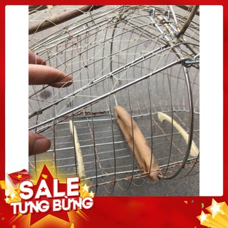 Lồng Bẫy Chim Chào Mào Kẽm