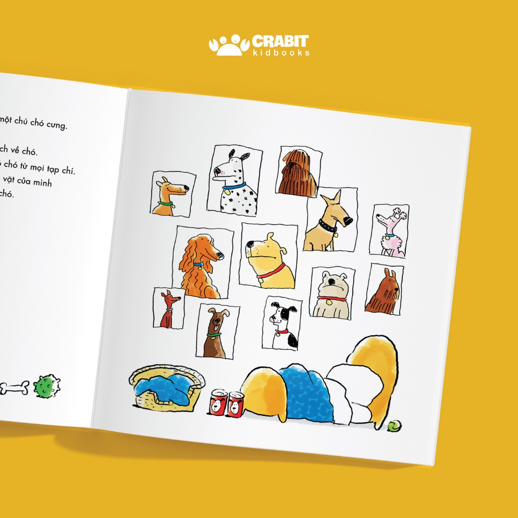 Sách - Cún nhà tớ tên Gấu - Tình cảm hài hước cho bé từ 3 tuổi - Crabit Kidbooks