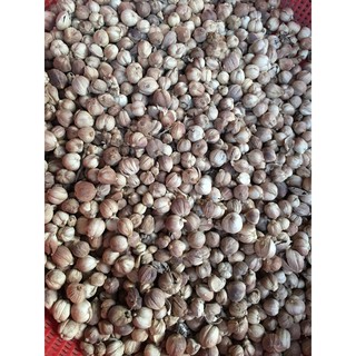 Bạch đậu khấu (Gói 10g)