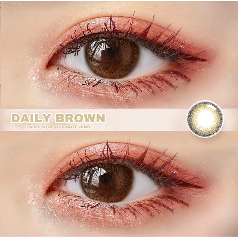 Kính Áp Tròng Daily Brown 14.0mm - Kính Áp Tròng Hàn Quốc FAIRY SHOP CONTACT LENS - độ cận 0 đến 8