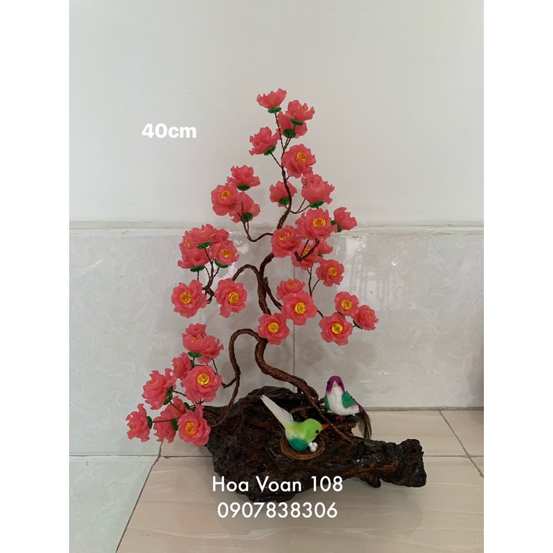 cây bonsai- cây kiểng