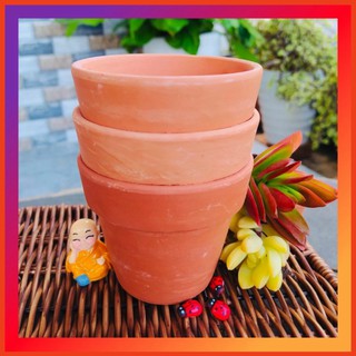 Chậu Đất Nung trồng Sen Đá