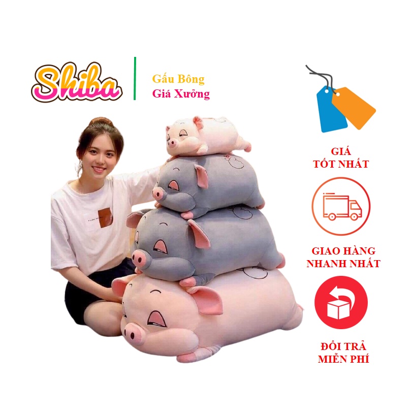 Gấu Bông Heo Phê Cần, Heo Mắt Híp Siêu Yêu quà 14/2 sinh nhật 20/10-Gấu bông heo buồn ngủ heo mắt híp co dãn 4 chiều