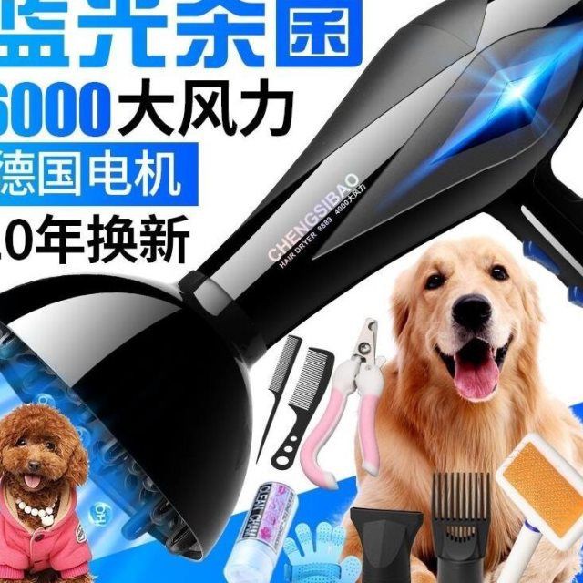 mới năm 2021 bán trướcTắm Husky Cat Dog Hairdryer Teddy Ladge Bug Cupery Pet Blowing Máy sấy11