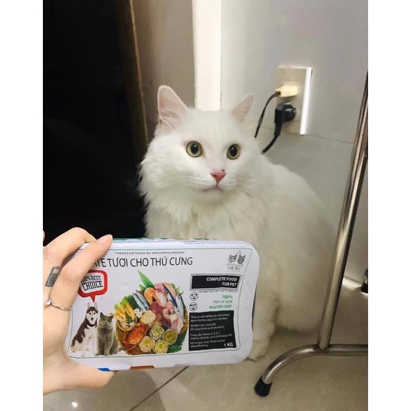 Pate Tươi The Pet Cho Mèo  - HỘP 1KG - GIAO NOW/GRAB