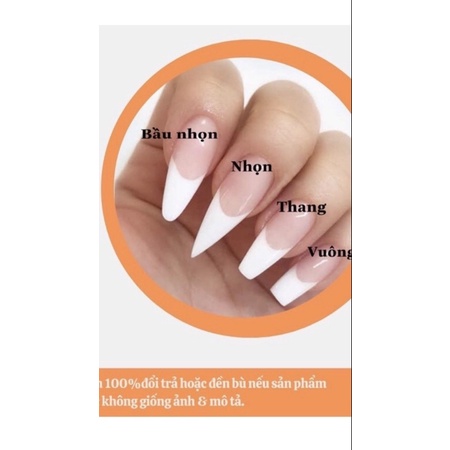 [NAIl BOX] Thiết kế kẻ dạ tặng kèm keo và dũa