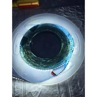 Led Cuộn Dán 12V 5m 2835(240 mắt/m),Led Dán 12V,Led Cuộn