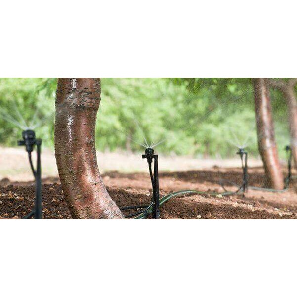 Đầu tưới Tornado Ray Jet RIVULIS - Tưới cho cây ăn trái - Nhà bè agri