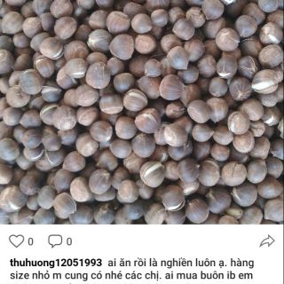 Hạt dẻ rừng tây bắc