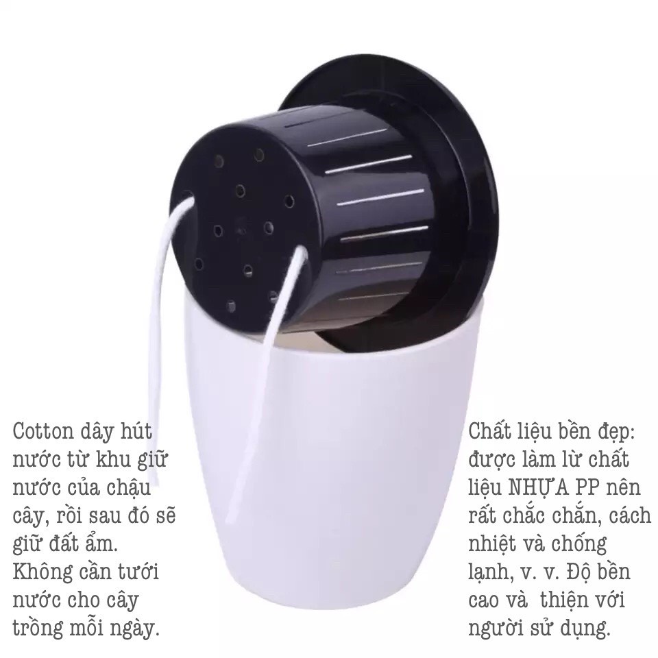 Chậu nhựa trồng cây thông minh tự tưới Oliz-H0
