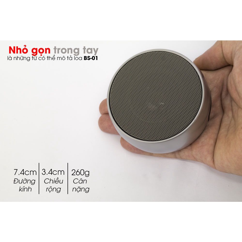 Loa Bluetooth Cầm Tay Mini BS-01 Vỏ Kim Loại – Âm Bass Cực Hay, Nghe Nhạc Cực Đã – Hỗ Trợ Kết Nối Thẻ Nhớ Và Cổng 3.5