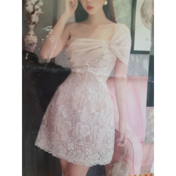 đơn live 100