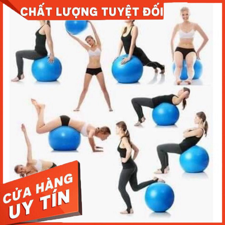 Bóng Tập Gym Có Gai 65cm (900g) - Bóng tập thể dục, yoga và fitness chất lượng cao