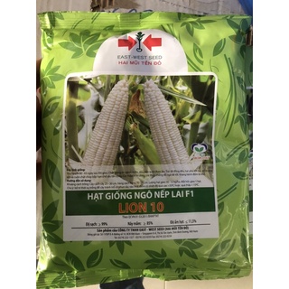 Hạt giống bắp nếp lai f1 lion 10 gói 500gr của hai mũi tên đỏ