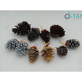 [NOEL-GIÁNG SINH-CÓ HỎA TỐC] Combo 10 trái thông dầu trang trí Noel XMAS-18