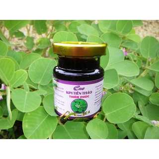 Cao kim tiền thảo thiên phúc - lọ 100g