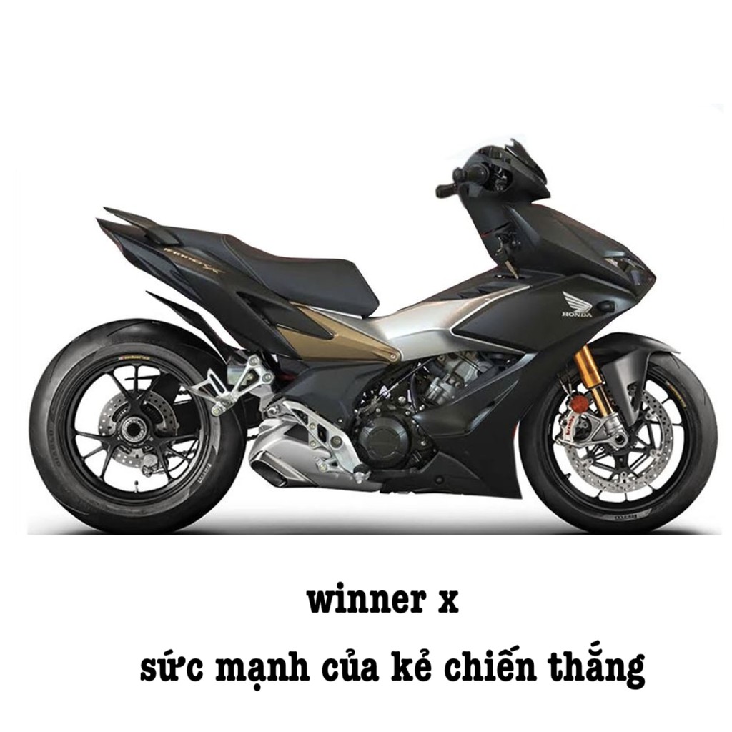 Baga Winner X Sport inox 10 ly Thanh Khang PVN82