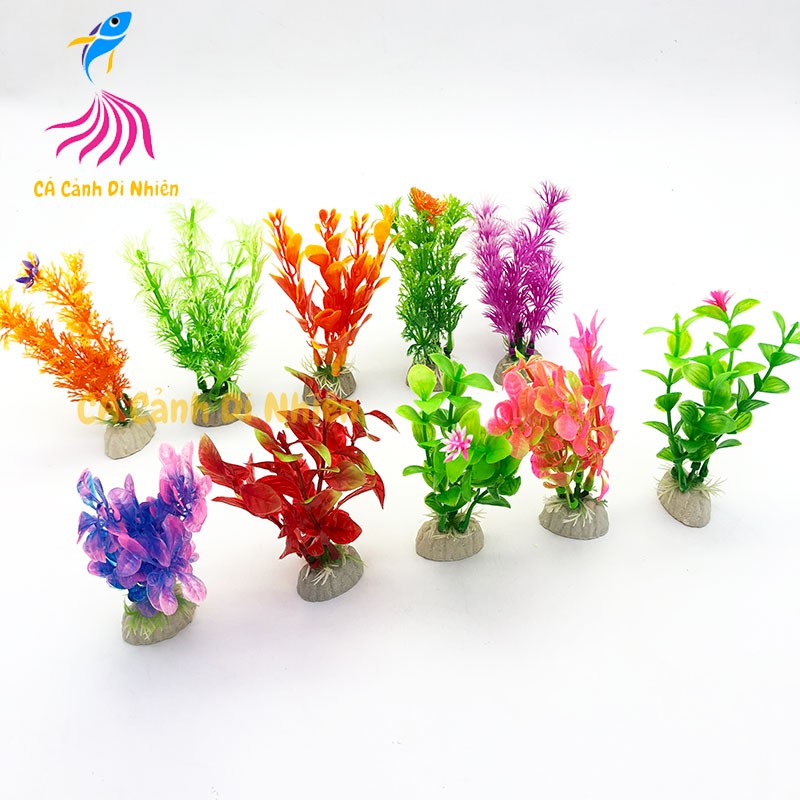 Mô hình cây rong nhựa trang trí hồ cá cảnh size 12CM (đủ mẫu)