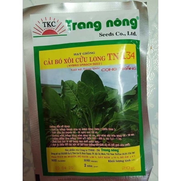cải bó xôi