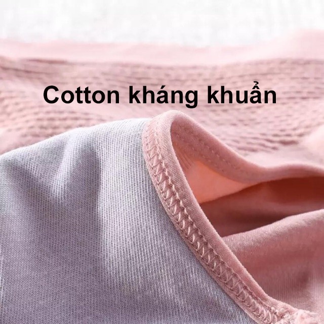 Quần lót dệt kim Kháng khuẩn Thông hơi - 4 trong 1