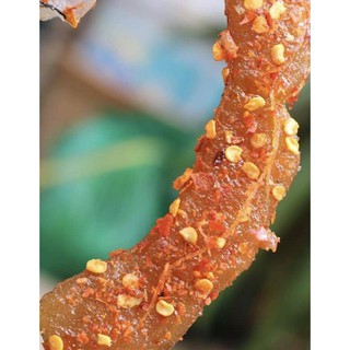 ME RIM CHUA NGỌT