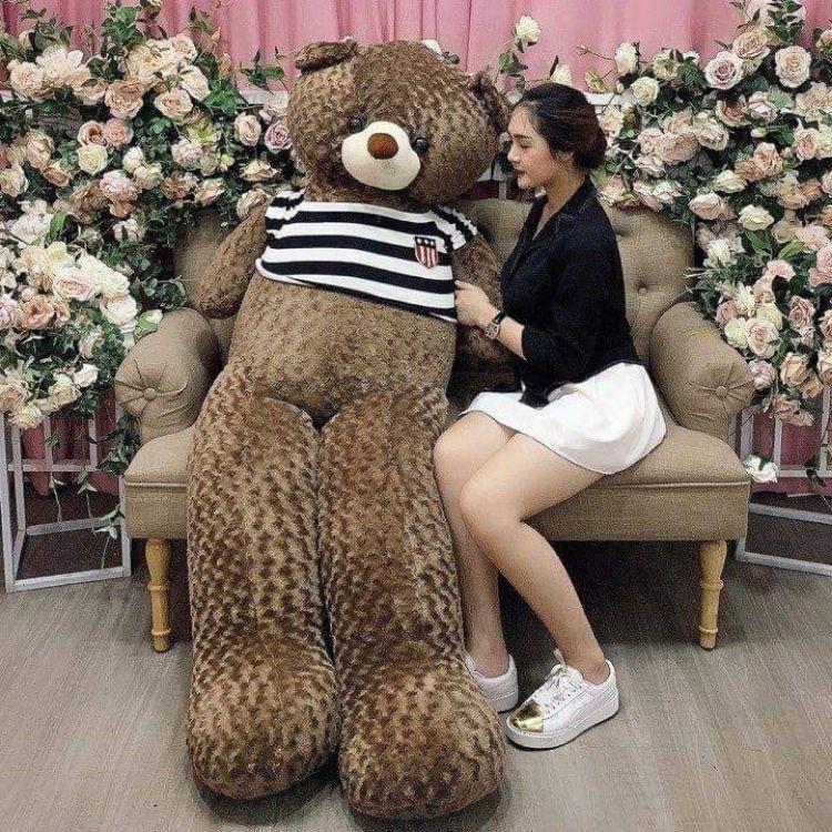 Gấu bông Teddy 1m8 to ❤️𝑯𝒂̀𝒏𝒈 𝑪𝒂𝒐 𝑪𝒂̂́𝒑❤️, gối ôm hình thú nhồi bông siêu to khổng lồ Tina.vn