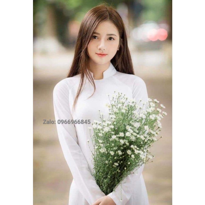 Áo dài trắng cổ vuông 2 tà, đồng phục học sinh, áo dài họp lớp, áo dài chụp kỷ yếu - Áo Dài Đan Linh