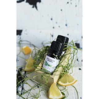 Tinh dầu sả lọ 5ml