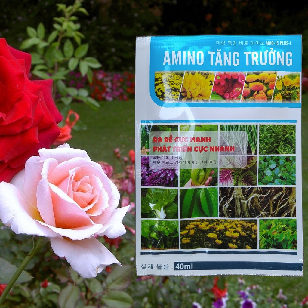 Phân Bón Lá AMINO Tăng Trưởng, Kích rễ cực mạnh, Phát triển cực nhanh