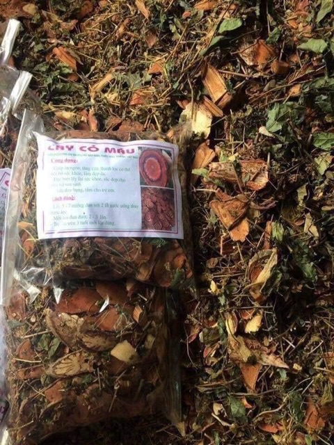 1kg Cỏ máu quảng bình giúp bổ máu, tăng cân an toàn