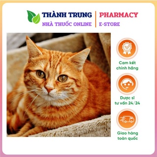 Nước rửa tay khô spca 600ml ~700g