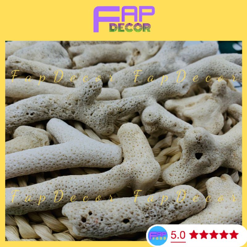 San Hô Lọc Nước Hồ Cá, San Hô Tăng Độ PH Trong Nước Cho Bể Cá - FapFood