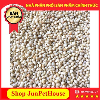 Hạt Bobo trắng - Thức Ăn Dinh Dưỡng Dành Cho Pet 🔸Shop JunPetHouse