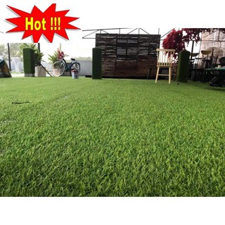 CỎ NHUNG NHẬT - Loại cỏ trồng trang trí, sạch và đẹp. GÓI NHỎ 50 HẠT