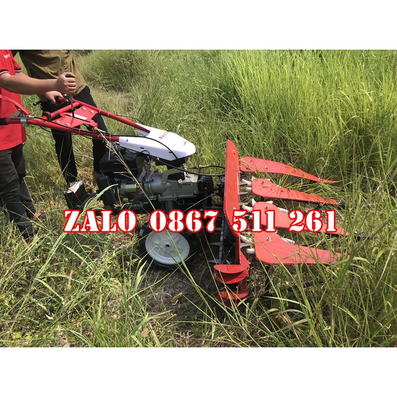 Thu hoạch cỏ voi Kawasaki 7HP đề nổ siêu khỏe